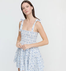 Couturebud The Ribbon Charlotte Nap Dress - Blue Vine Stripe